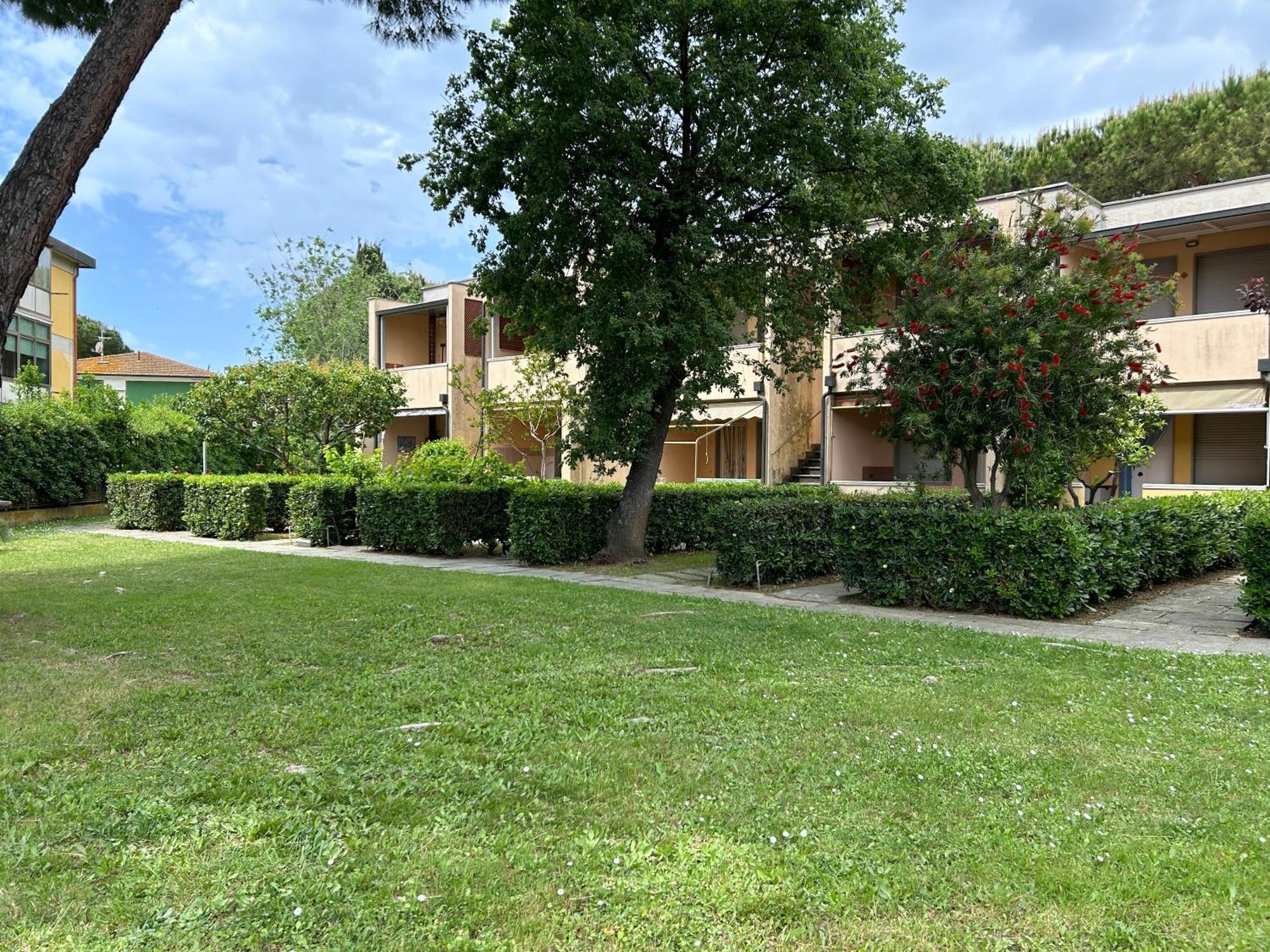 Appartamenti Via Dei Cipressi มารินา ดิ บิบโบนา ภายนอก รูปภาพ