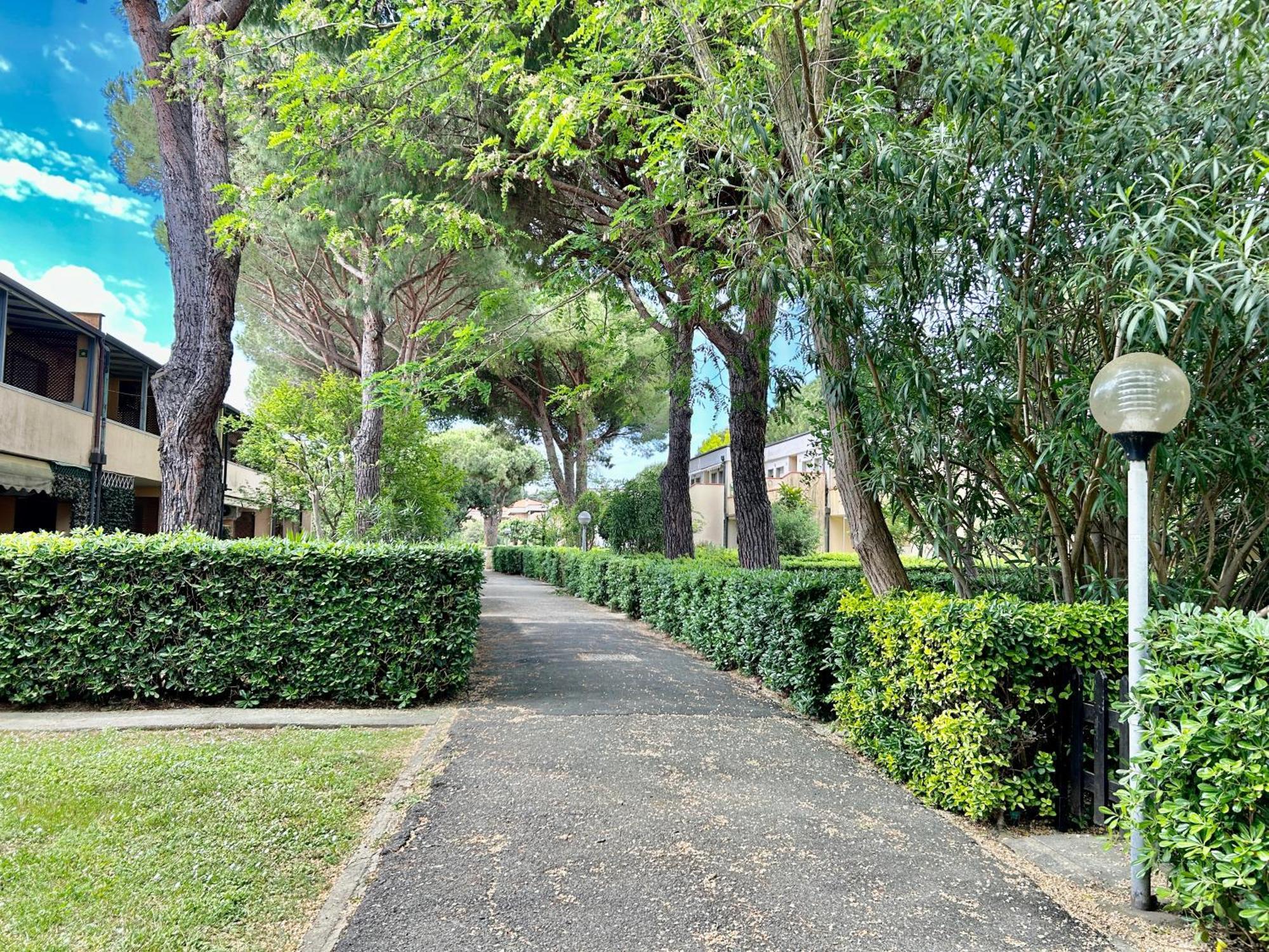 Appartamenti Via Dei Cipressi มารินา ดิ บิบโบนา ภายนอก รูปภาพ